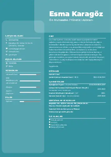 Yönetici Asistanı Cv Örnekleri cv indir